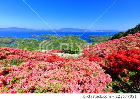 [Nagasaki Prefecture] Nagakushiyama Park on a sunny day and azaleas in full bloom (Nagakushiyama Azalea Festival) 125577051