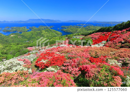 [Nagasaki Prefecture] Nagakushiyama Park on a sunny day and azaleas in full bloom (Nagakushiyama Azalea Festival) 125577060
