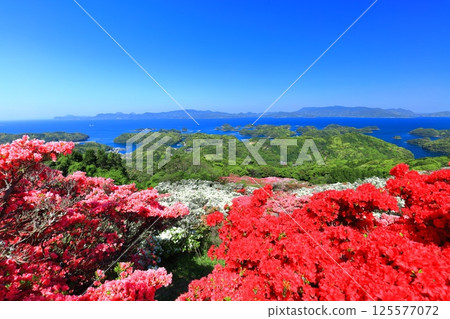 [Nagasaki Prefecture] Nagakushiyama Park on a sunny day and azaleas in full bloom (Nagakushiyama Azalea Festival) 125577072