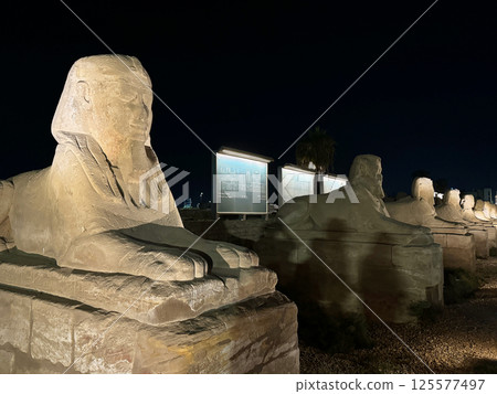 世界遺產盧克索神殿前的獅身人面像 125577497