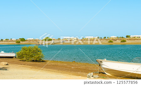 Khor Kalba Mangrove Centre 125577856