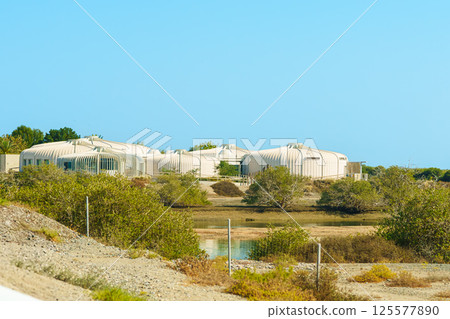mangrove forest,The mangrove biome, often called the mangrove forest or mangal, is a distinct saline woodland or shrubland habitat characterized by depositional 125577890