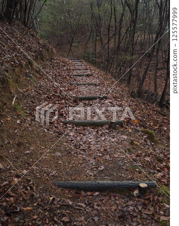 高原上的片刻 125577999