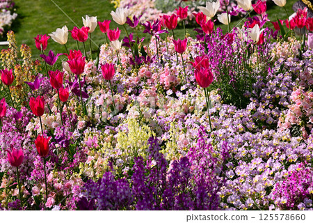 Satoyama Garden filled with spring flowers Satoyama Garden filled with spring flowers 125578660