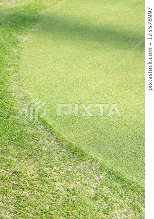 Golf course 125578997