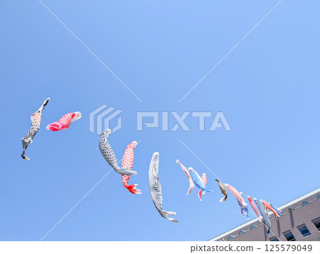 Mie Prefectural Cultural Center - Carp streamers 125579049