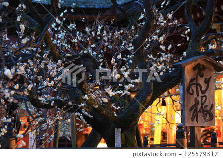 太宰府天滿宮的早晨 125579317