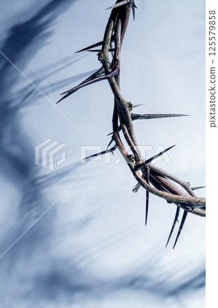 Crown of thorns casting a distinct shadow on a white background, creating a symbolic easter image of suffering, sacrifice, and remembrance Copy space for text good friday 125579858