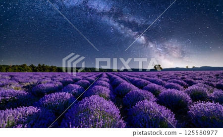 Lavender and starry night scenery 1 125580977