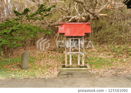 Photographing the grounds of Shionori Hachiman Shrine in spring in Hakodate, Hokkaido 125581092