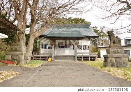 Photographing the grounds of Shionori Hachiman Shrine in spring in Hakodate, Hokkaido 125581108