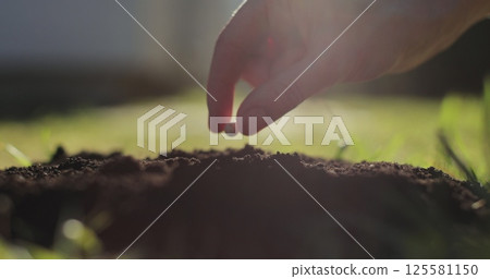 Hand planting seeds. Growing organic vegetables. Sunrise light. 125581150