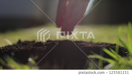 Hand planting seeds. Growing organic vegetables. Sunrise light. Hand planting seeds. Growing organic vegetables. Sunrise light. 125581151