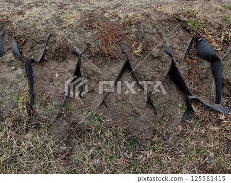 reinforced lawn area showing deterioration and poor condition with exposed soil and vegetation. reinforced lawn area showing deterioration and poor condition with exposed soil and vegetation. 125581415