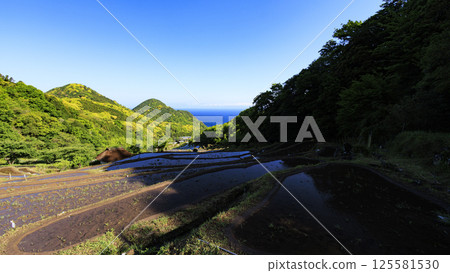 Ishibe rice terraces on the Izu Peninsula with a view of Mt. Fuji Ishibe rice terraces on the Izu Peninsula with a view of Mt. Fuji 125581530