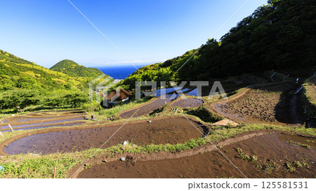 Ishibe rice terraces on the Izu Peninsula with a view of Mt. Fuji Ishibe rice terraces on the Izu Peninsula with a view of Mt. Fuji 125581531