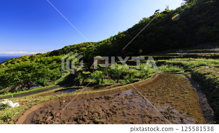 Ishibe rice terraces on the Izu Peninsula with a view of Mt. Fuji Ishibe rice terraces on the Izu Peninsula with a view of Mt. Fuji 125581538