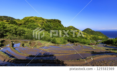 伊豆半島的石部梯田，可欣賞富士山美景 125581569