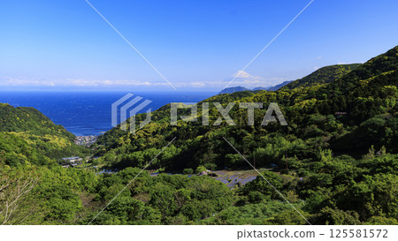 Ishibe rice terraces on the Izu Peninsula with a view of Mt. Fuji 125581572