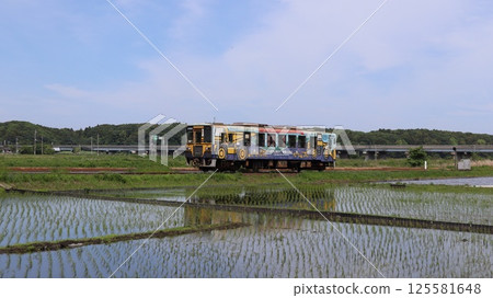 常陸那珂海濱鐵道：行駛在淹水的稻田中的列車 125581648