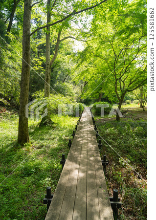 Oyamada Valley (Tama Hills) 125581662