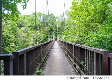Suspension bridge at Oyamada Green Space (Tama Hills) 125581665