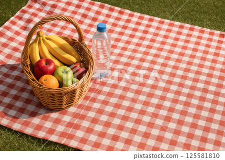 Picnic with Fresh Fruits and Water Bottle on Checkered Blanket in Sunny Park Setting. Concept of Outdoor Leisure, Healthy Eating, Family Gatherings, Nature Enjoyment. Copy space. 125581810