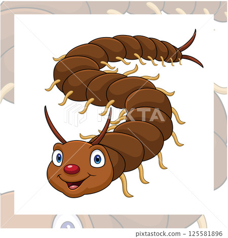 Cute centipede cartoon on white background Cute centipede cartoon on white background 125581896