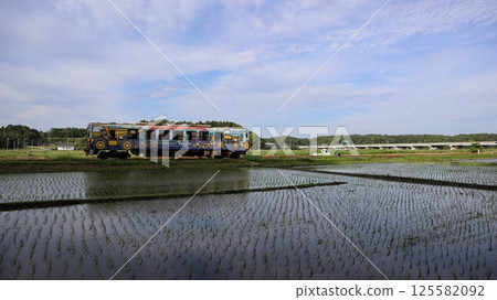 Hitachinaka Seaside Railway: A train running through a flooded rice field 125582092