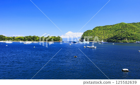 Suruga Bay and Mt. Fuji as seen from Toda Fishing Port 125582639