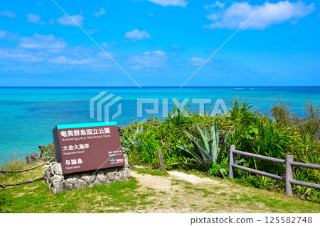 Yoronjima Okanehisa海岸 125582748