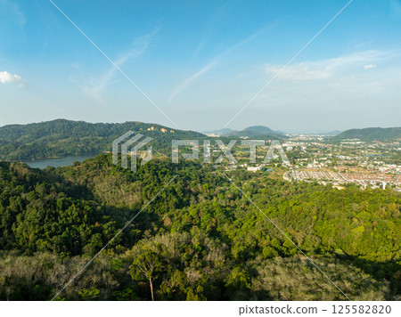 Top view green forest trees background, Beautiful green nature background Top view green forest trees background, Beautiful green nature background 125582820