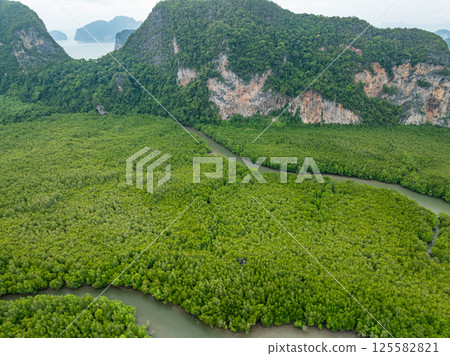 Amazing abundant mangrove forest, Aerial view of forest trees Rainforest ecosystem and healthy environment background, Texture of green trees forest top down,High angle view wide angle lens Amazing abundant mangrove forest, Aerial view of forest trees Rainforest ecosystem and healthy environment background, Texture of green trees forest top down,High angle view wide angle lens 125582821