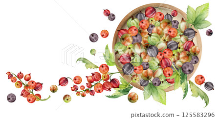 Currant gooseberry clusters leaves on ceramic dish, hand drawn in watercolor, ripe picked garden berry harvest, casseille jostaberry. Isolated illustration. Cookbook art, food packaging, fresh product 125583296