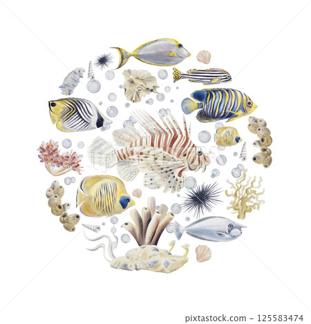 Set of exotic tropical fish. Medallion with sea animals. Coral reef. Round composition with a sea plot. Watercolor illustration without background. Hand drawing. High quality illustration 125583474