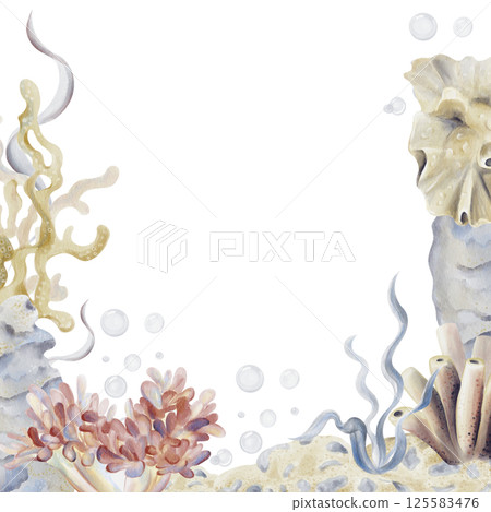 Frame and template with seabed and reef. Underwater world with flowers and seaweed. Sand with pebbles and sea sponge. Marine plants. Watercolor illustration without background. Hand drawing.  125583476