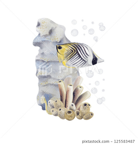 Exotic fish on a coral reef background. Striped bright fish. Seabed with sponges, flowers and stones. Underwater world. Watercolor illustration without background, hand drawing. Exotic fish on a coral reef background. Striped bright fish. Seabed with sponges, flowers and stones. Underwater world. Watercolor illustration without background, hand drawing. 125583487
