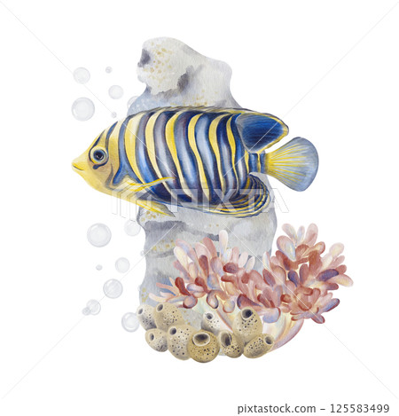 Exotic fish. Emperor angelfish with blue and yellow coloring and striped pattern. Reef with corals and sponges. Sea and ocean landscape. Air bubbles under water. Watercolor illustration. Hand drawing 125583499