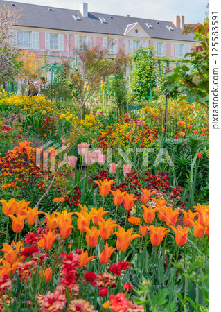春天的濱名湖花園公園,百花盛開(靜岡縣濱松市) 春天的濱名湖花園公園,百花盛開(靜岡縣濱松市) 125583591