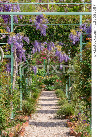 Spring at Lake Hamana Garden Park, flowers in full bloom (Hamamatsu City, Shizuoka Prefecture) 125583597