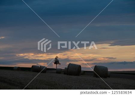 Wheat roll on the hill at dusk Wheat roll on the hill at dusk 125583634