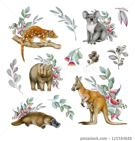 Australia native animal watercolor illustration set. Hand drawn kangaroo, koala, platypus, wombat, tiger quoll with eucalyptus leaves floral collection. Australian wildlife with eucalyptus decor set 125583688
