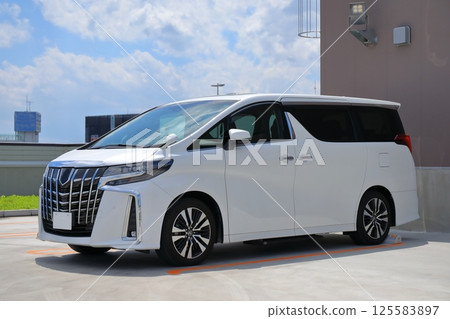 white minivan 125583897