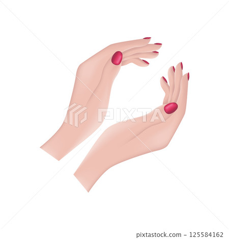 Female hands. An image of beautiful female hands. The hands of a woman with painted nails. The girl s hands. Vector illustration 125584162