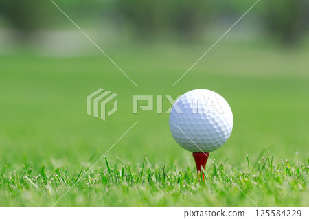 Golf ball on tee 125584229