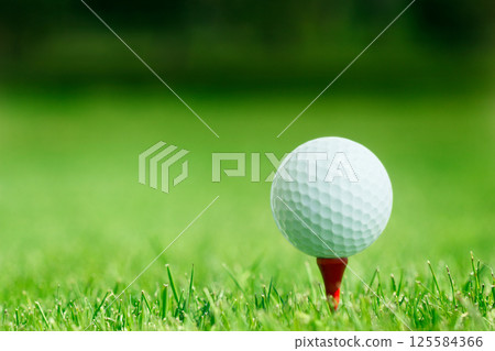 Golf ball on tee 125584366