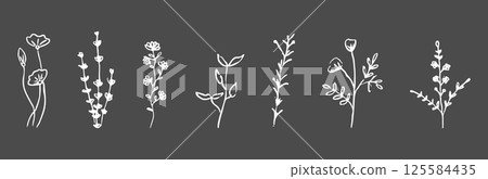 Wild forest herbs and flowers vintage textured chalk drawing sketch. Line grass retro flora silhouette. Crayon doodle hand drawn 125584435
