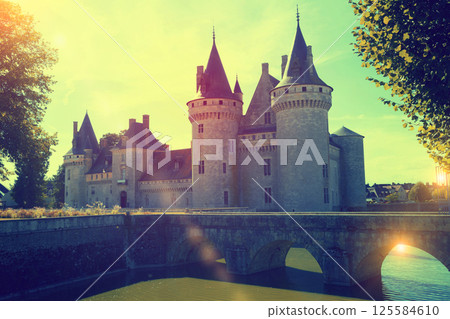 Chateau de Sully-sur-Loire, France Chateau de Sully-sur-Loire, France 125584610