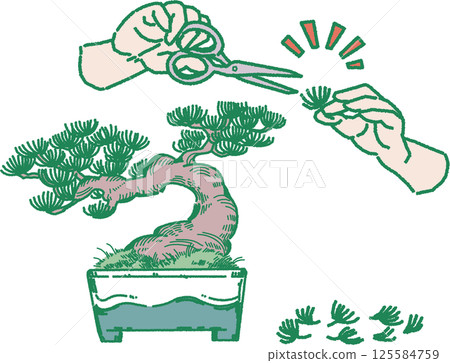 盆景葉子的修剪和護理插圖 125584759