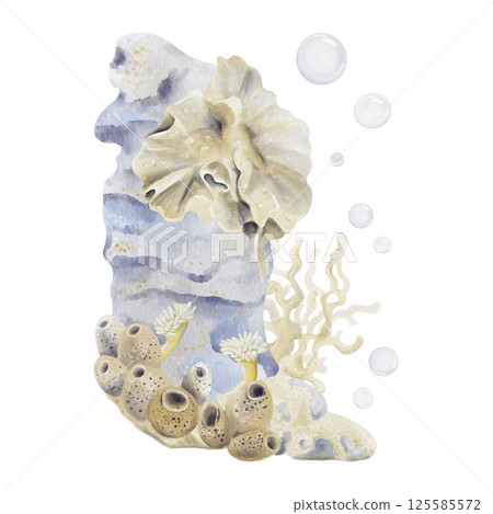 Coral reef with plants and animals. Sea rock with sponges, kelp and corals. Sand with pebbles. Bubbles in the background. Watercolor illustration isolated from the background. Hand drawing. Coral reef with plants and animals. Sea rock with sponges, kelp and corals. Sand with pebbles. Bubbles in the background. Watercolor illustration isolated from the background. Hand drawing. 125585572